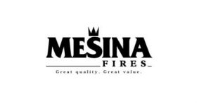Mesina fires pdf download